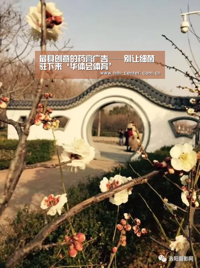最具创意的药膏广告---别让细菌驻下来‘华体会体育’(图2) 华体会体育