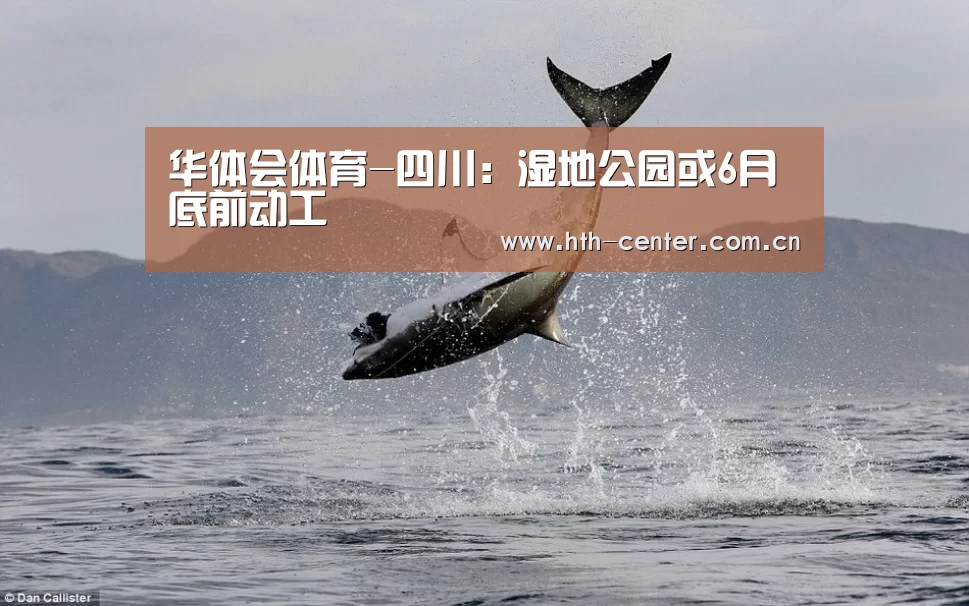 华体会体育-四川:湿地公园或6月底前动工(图3) 华体会体育