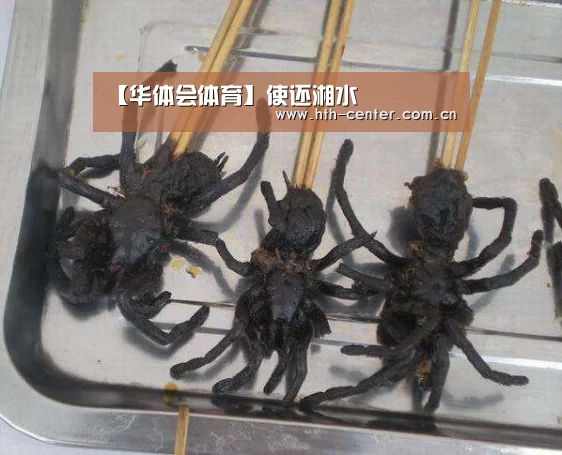 【华体会体育】使还湘水(图2) 华体会体育