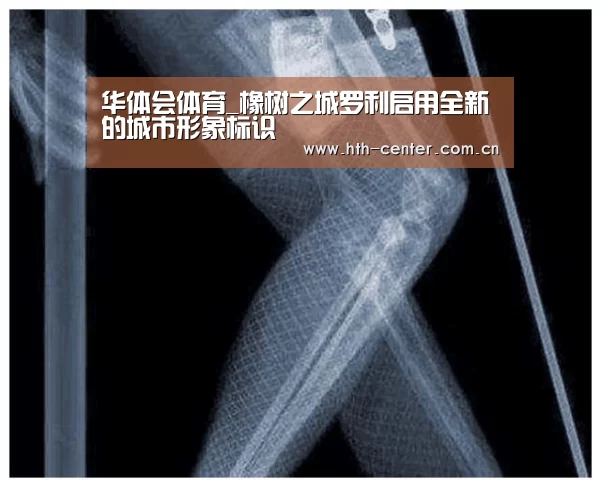 华体会体育_橡树之城罗利启用全新的城市形象标识(图3) 华体会体育