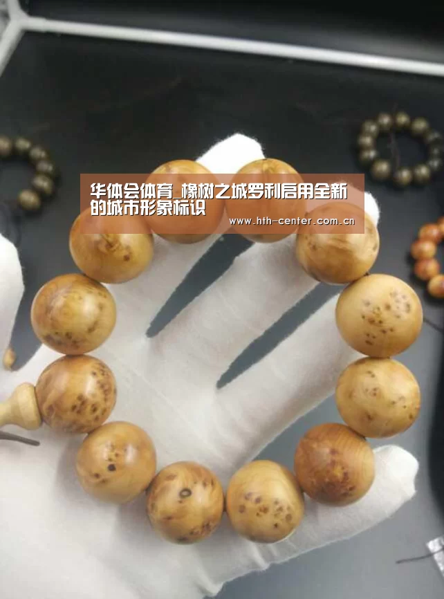华体会体育_橡树之城罗利启用全新的城市形象标识(图1) 华体会体育